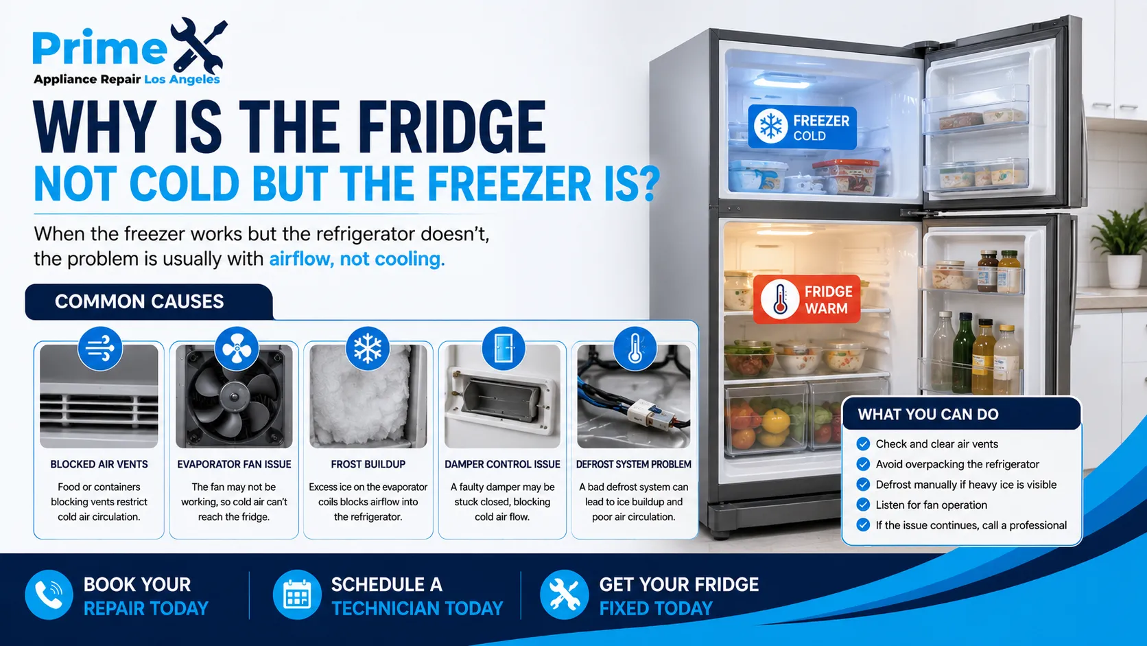 Why Is the Fridge Not Cold but the Freezer Is
